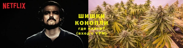 крисы Заводоуковск