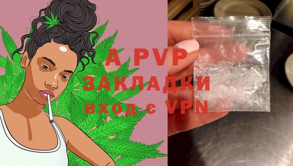 ECSTASY Заволжье