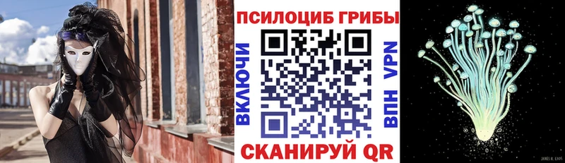 Галлюциногенные грибы Magic Shrooms  Купить  Кемь 